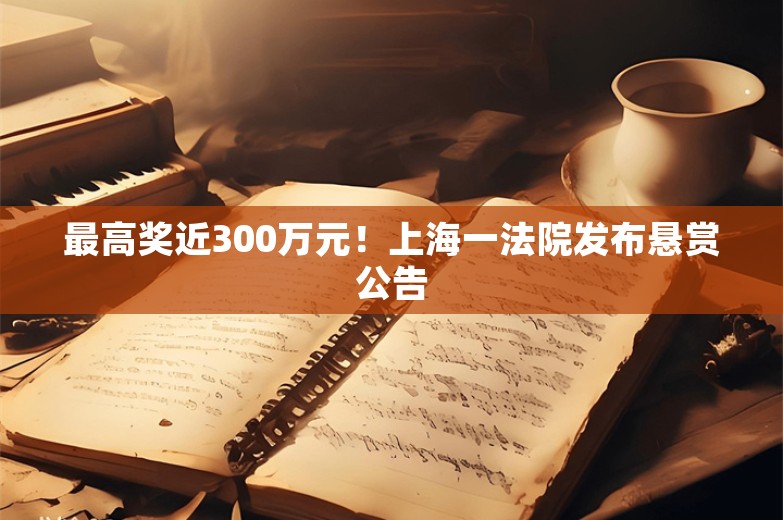 最高奖近300万元！上海一法院发布悬赏公告