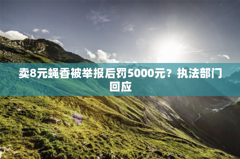 卖8元蝇香被举报后罚5000元？执法部门回应