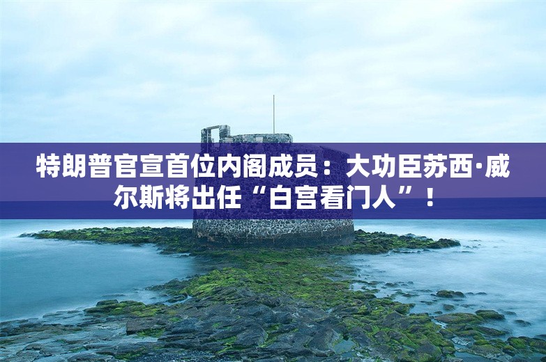 特朗普官宣首位内阁成员：大功臣苏西·威尔斯将出任“白宫看门人”！