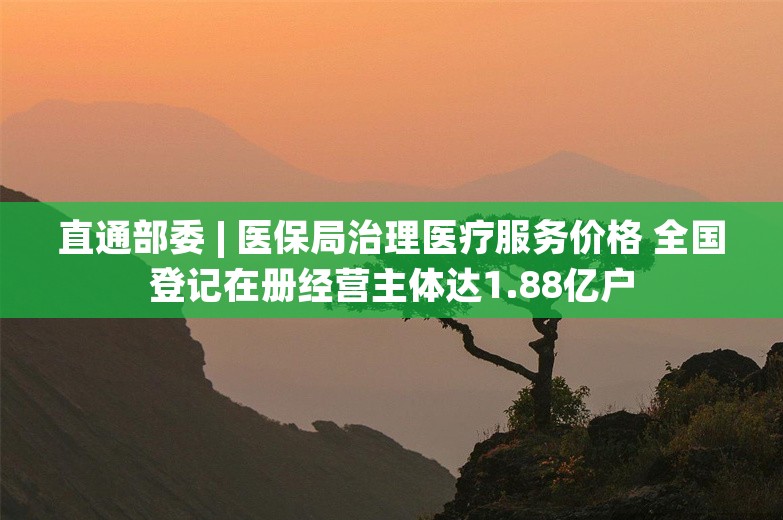 直通部委 | 医保局治理医疗服务价格 全国登记在册经营主体达1.88亿户