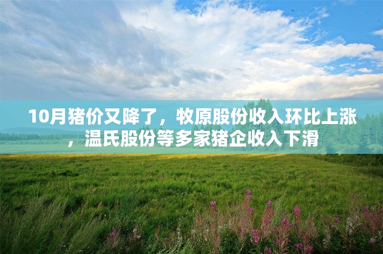 10月猪价又降了，牧原股份收入环比上涨，温氏股份等多家猪企收入下滑