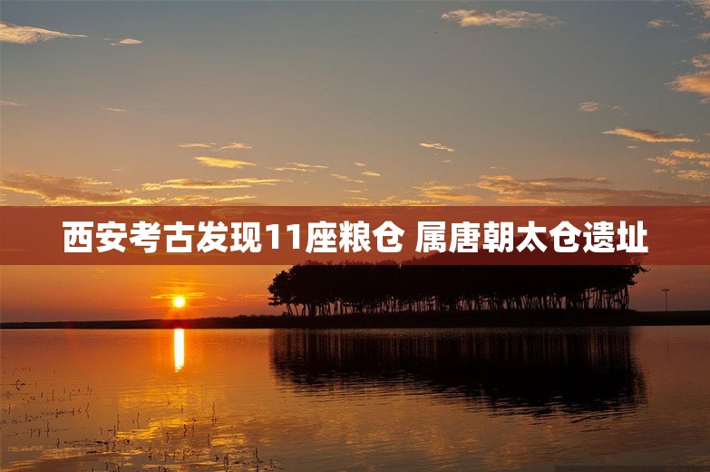 西安考古发现11座粮仓 属唐朝太仓遗址