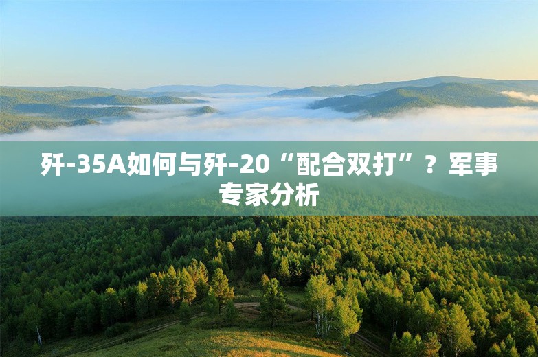 歼-35A如何与歼-20“配合双打”？军事专家分析