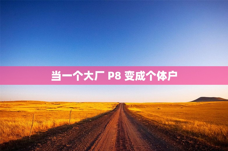 当一个大厂 P8 变成个体户