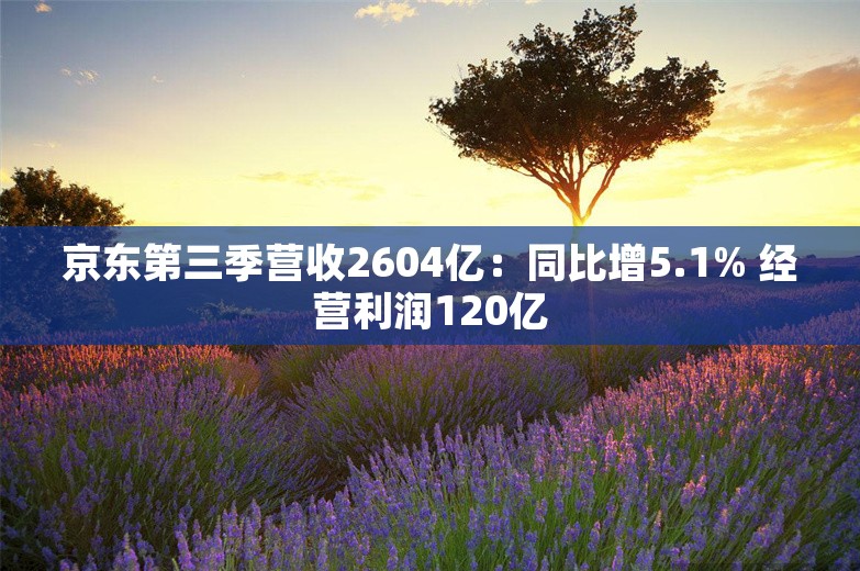 京东第三季营收2604亿：同比增5.1% 经营利润120亿