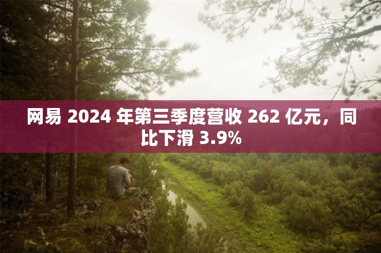 网易 2024 年第三季度营收 262 亿元，同比下滑 3.9%