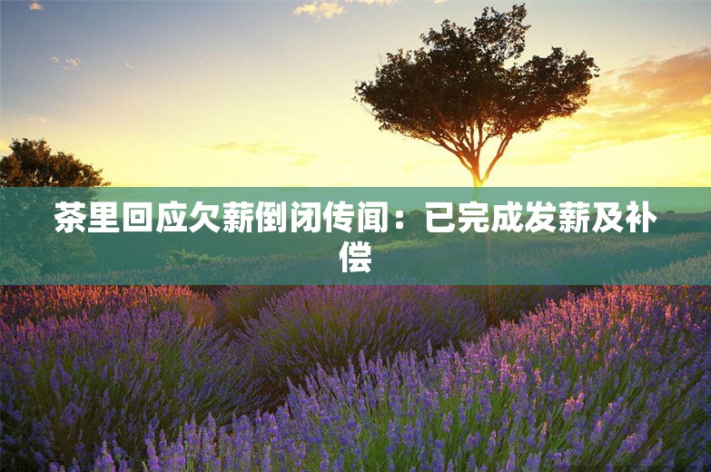 茶里回应欠薪倒闭传闻：已完成发薪及补偿