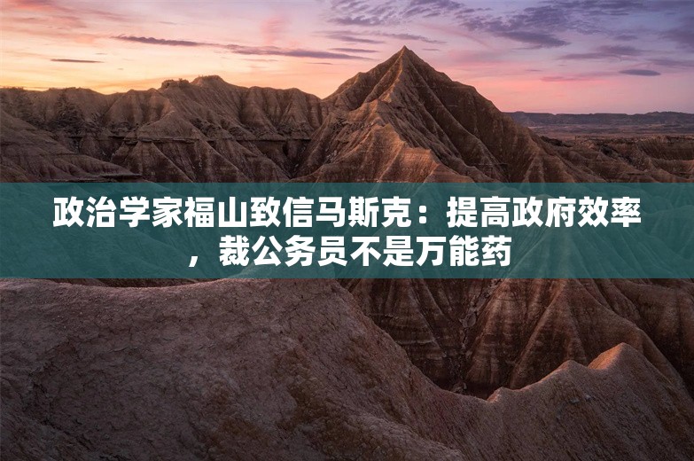 政治学家福山致信马斯克：提高政府效率，裁公务员不是万能药