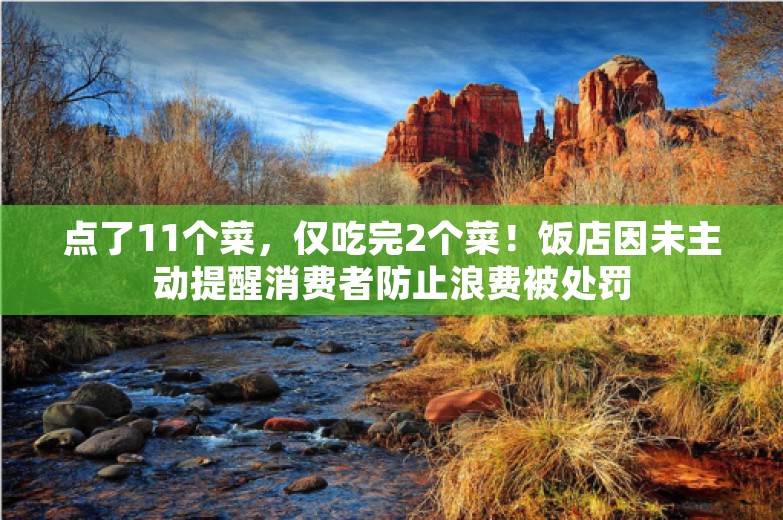 点了11个菜，仅吃完2个菜！饭店因未主动提醒消费者防止浪费被处罚