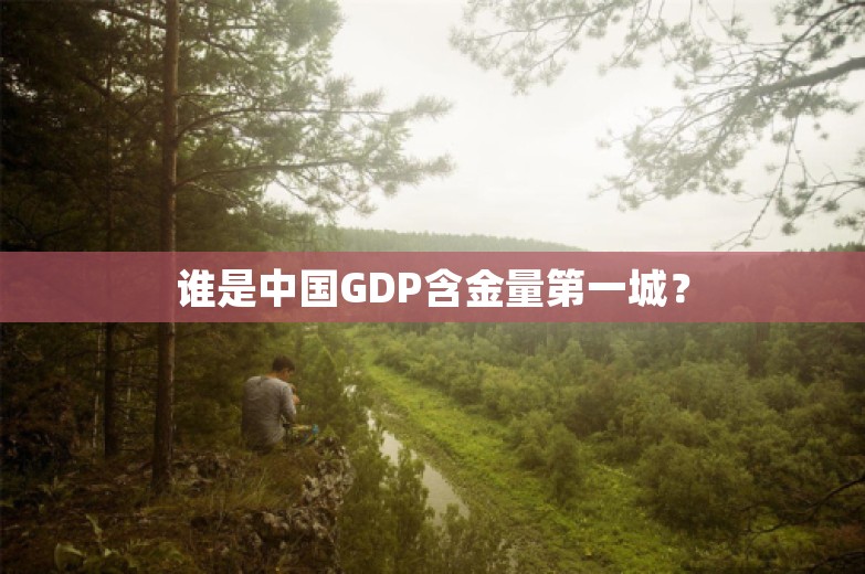 谁是中国GDP含金量第一城？