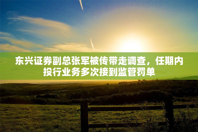 东兴证券副总张军被传带走调查，任期内投行业务多次接到监管罚单