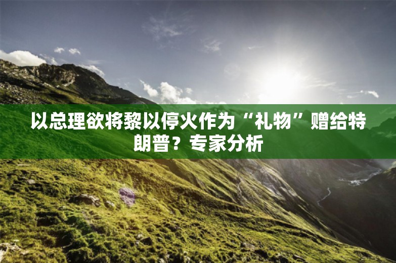 以总理欲将黎以停火作为“礼物”赠给特朗普？专家分析