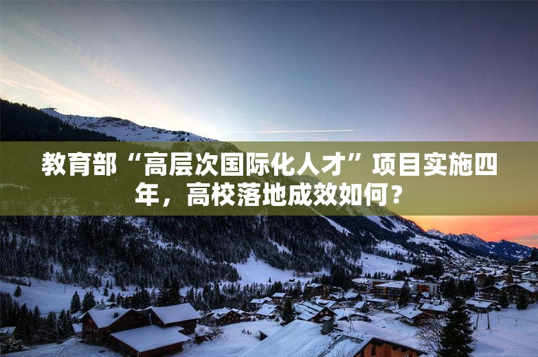 教育部“高层次国际化人才”项目实施四年，高校落地成效如何？