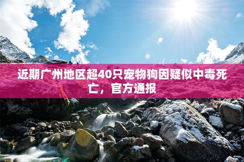 近期广州地区超40只宠物狗因疑似中毒死亡，官方通报