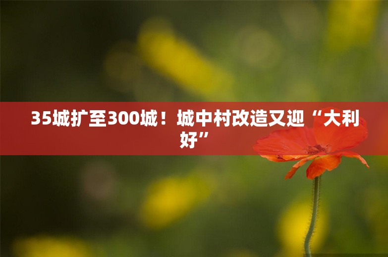 35城扩至300城！城中村改造又迎“大利好”