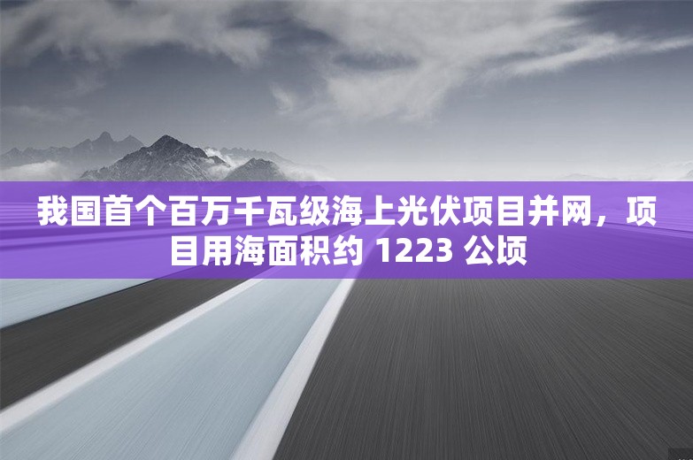 我国首个百万千瓦级海上光伏项目并网，项目用海面积约 1223 公顷