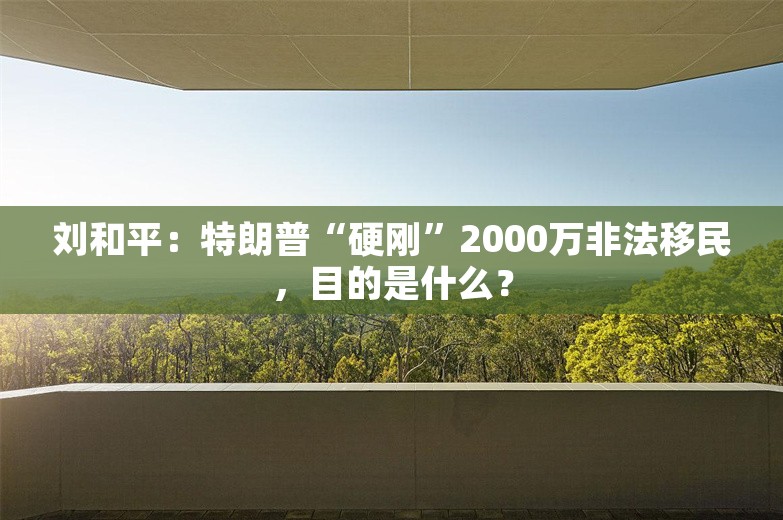 刘和平：特朗普“硬刚”2000万非法移民，目的是什么？