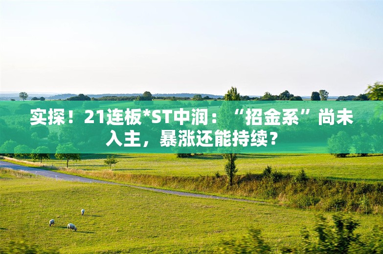 实探！21连板*ST中润：“招金系”尚未入主，暴涨还能持续？