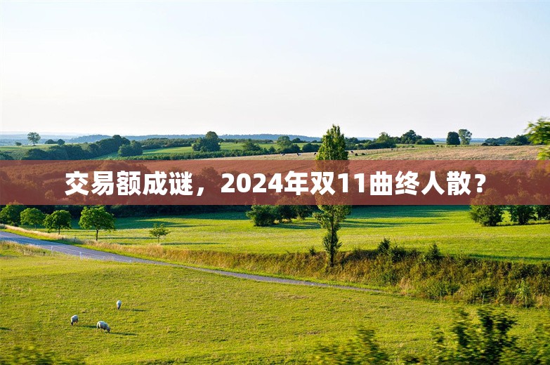 交易额成谜，2024年双11曲终人散？