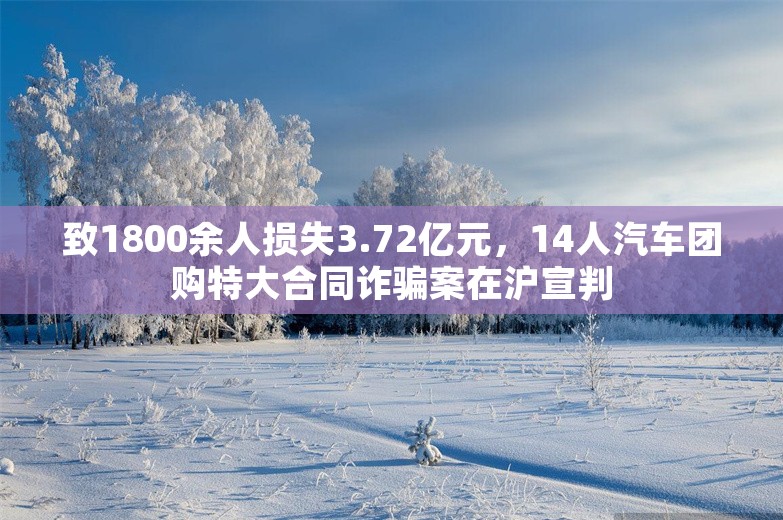 致1800余人损失3.72亿元，14人汽车团购特大合同诈骗案在沪宣判