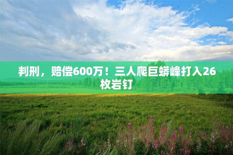 判刑，赔偿600万！三人爬巨蟒峰打入26枚岩钉