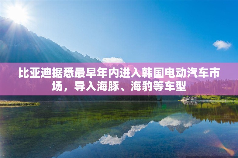 比亚迪据悉最早年内进入韩国电动汽车市场，导入海豚、海豹等车型