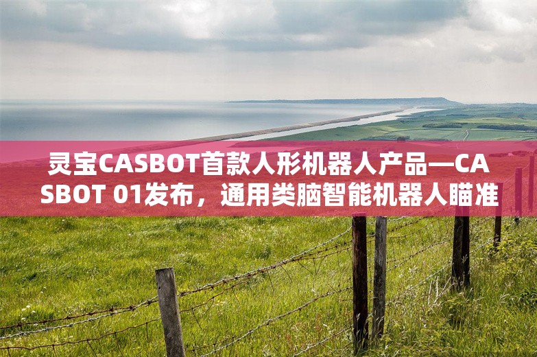 灵宝CASBOT首款人形机器人产品—CASBOT 01发布，通用类脑智能机器人瞄准多场景落地