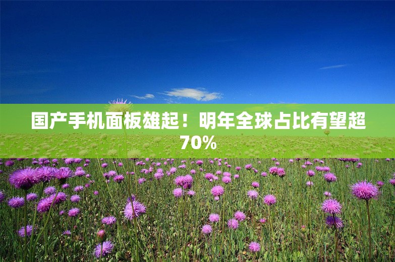 国产手机面板雄起！明年全球占比有望超70%