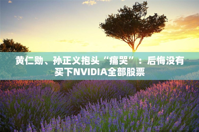 黄仁勋、孙正义抱头“痛哭”：后悔没有买下NVIDIA全部股票