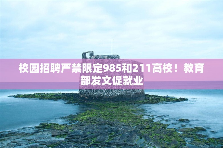 校园招聘严禁限定985和211高校！教育部发文促就业