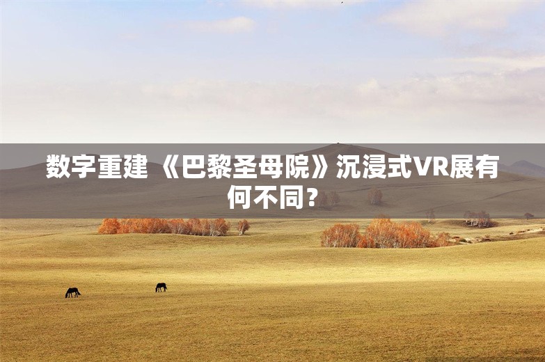 数字重建 《巴黎圣母院》沉浸式VR展有何不同？