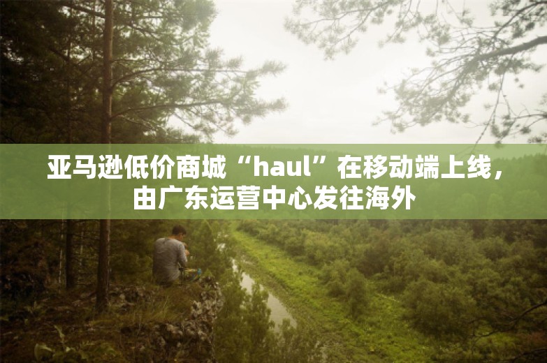 亚马逊低价商城“haul”在移动端上线，由广东运营中心发往海外