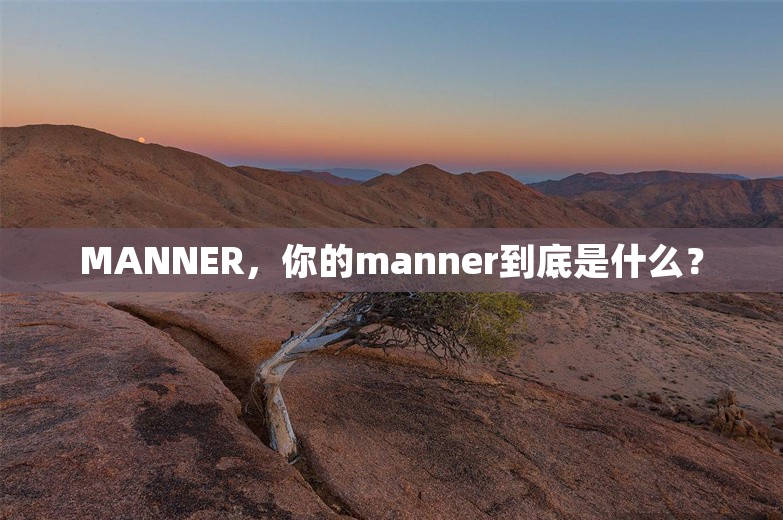 MANNER，你的manner到底是什么？