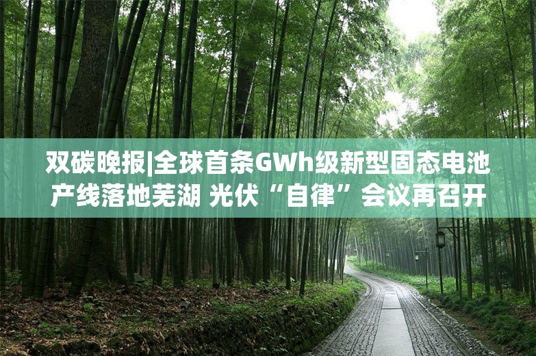 双碳晚报|全球首条GWh级新型固态电池产线落地芜湖 光伏“自律”会议再召开