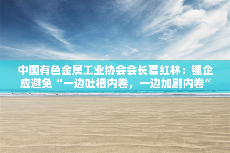 中国有色金属工业协会会长葛红林：锂企应避免“一边吐槽内卷，一边加剧内卷”