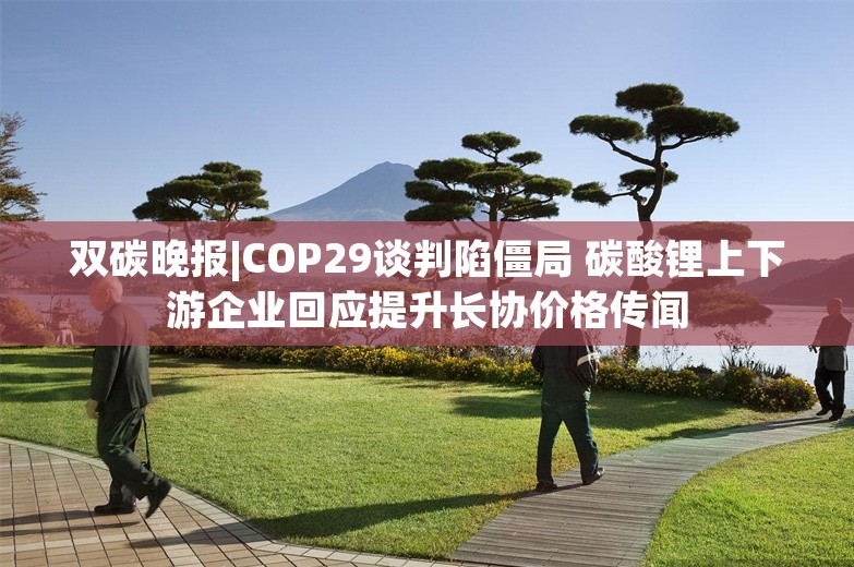 双碳晚报|COP29谈判陷僵局 碳酸锂上下游企业回应提升长协价格传闻