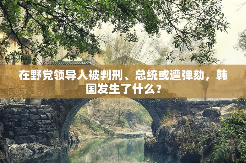 在野党领导人被判刑、总统或遭弹劾，韩国发生了什么？