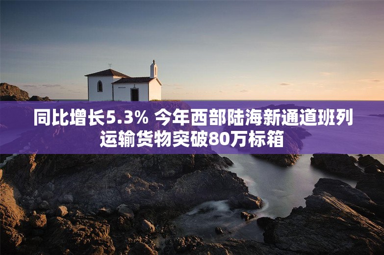 同比增长5.3% 今年西部陆海新通道班列运输货物突破80万标箱