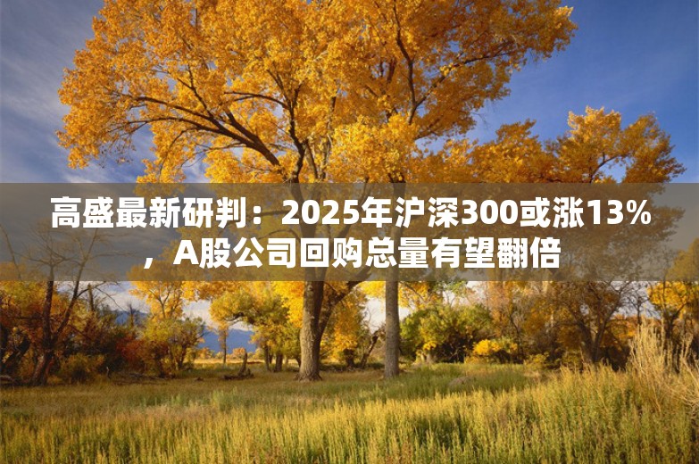 高盛最新研判：2025年沪深300或涨13%，A股公司回购总量有望翻倍