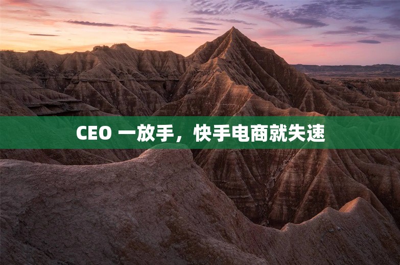 CEO 一放手，快手电商就失速