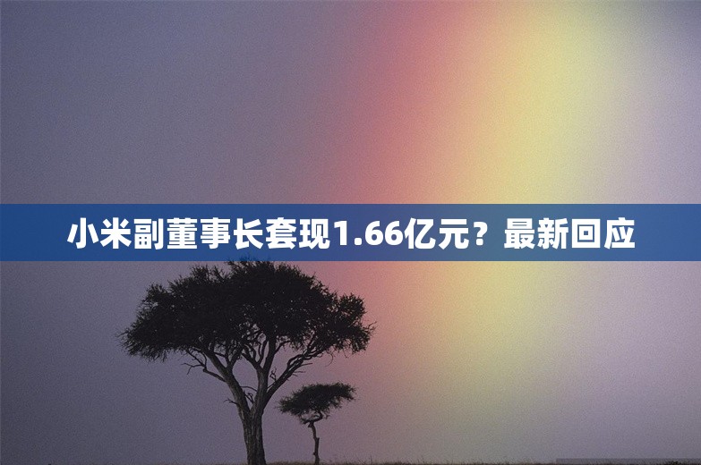 小米副董事长套现1.66亿元？最新回应