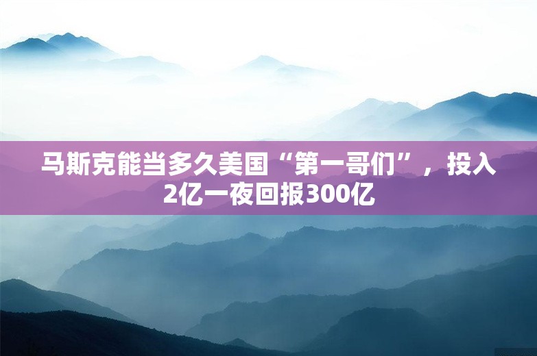 马斯克能当多久美国“第一哥们”，投入2亿一夜回报300亿