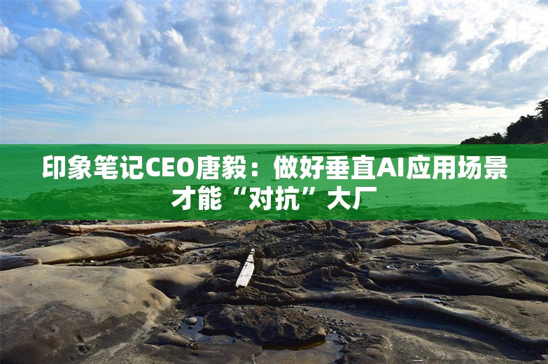 印象笔记CEO唐毅：做好垂直AI应用场景才能“对抗”大厂