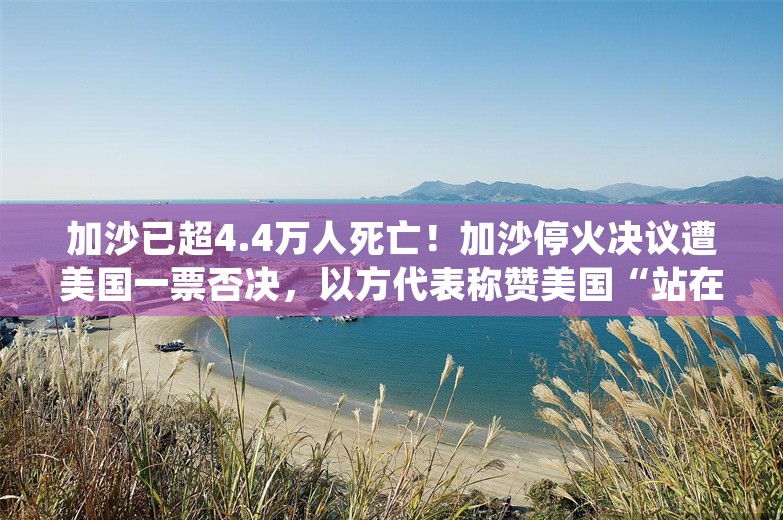 加沙已超4.4万人死亡！加沙停火决议遭美国一票否决，以方代表称赞美国“站在道德和正义的一边”