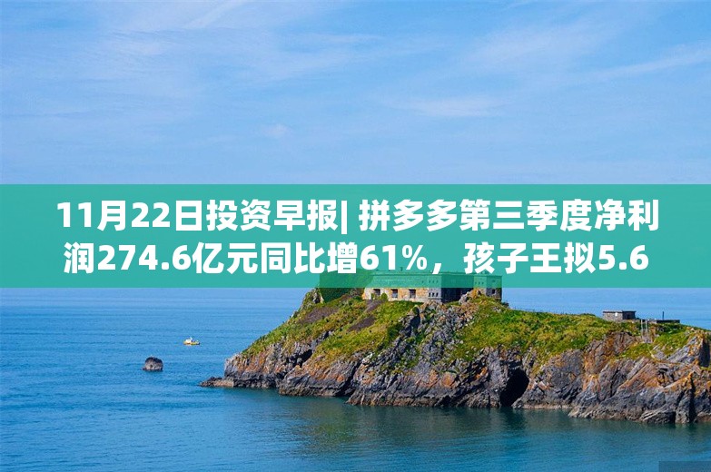 11月22日投资早报| 拼多多第三季度净利润274.6亿元同比增61%，孩子王拟5.6亿元收购乐友国际35%股权，今日一只新股申购