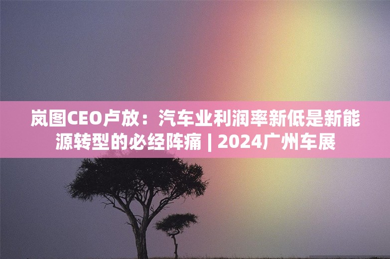 岚图CEO卢放：汽车业利润率新低是新能源转型的必经阵痛 | 2024广州车展