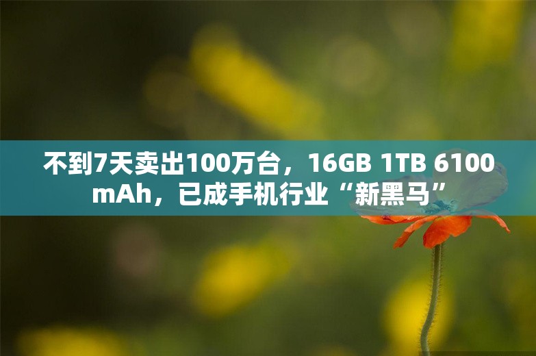 不到7天卖出100万台，16GB 1TB 6100mAh，已成手机行业“新黑马”