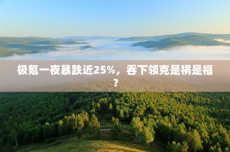 极氪一夜暴跌近25%，吞下领克是祸是福？