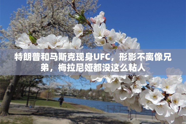 特朗普和马斯克现身UFC，形影不离像兄弟，梅拉尼娅都没这么粘人