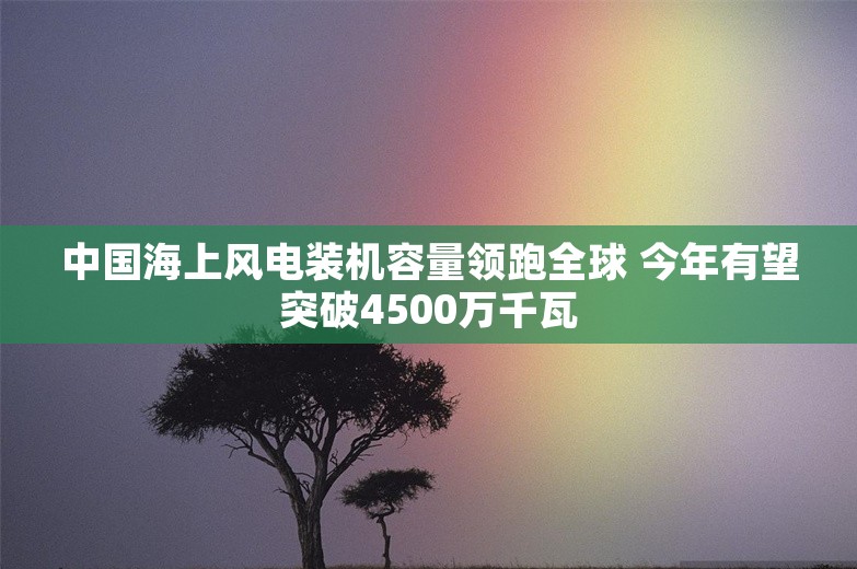 中国海上风电装机容量领跑全球 今年有望突破4500万千瓦